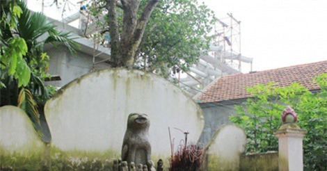 Tại sao người Việt thường thờ chó đá?