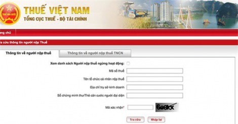 Tổng cục Thuế hướng dẫn giải quyết việc mã số thuế cá nhân bị trộm