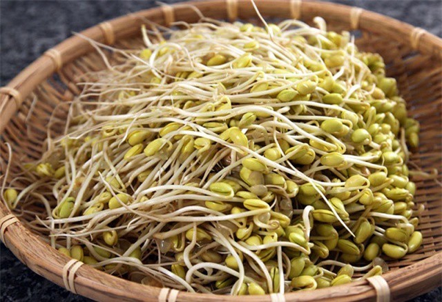 Tự làm giá đỗ tương trắng ngọt tự nhiên, ăn cả tuần không hết