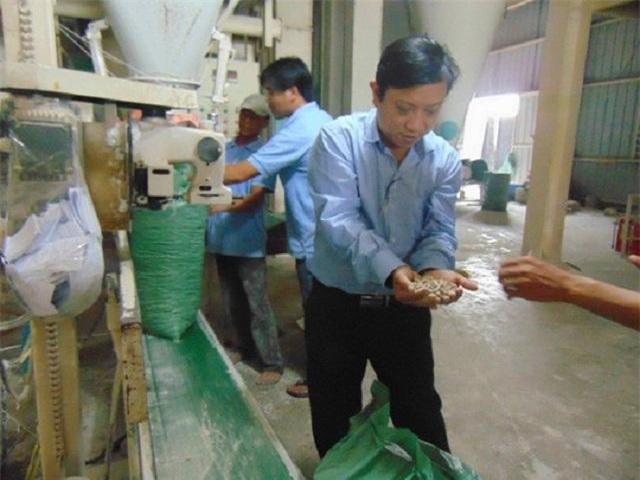 Xuất khẩu bã mía, cùi bắp… thu tiền tỷ