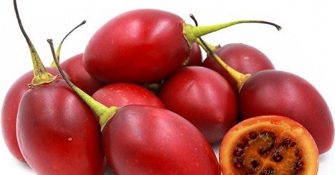 Vì sao các bà nội trợ Việt chi tiền triệu “săn” cà chua thân gỗ?