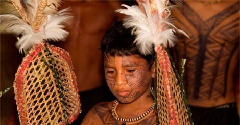 "Kinh hoàng" với lễ trưởng thành của bộ lạc Satere-Mawe