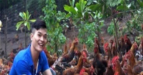 Thanh niên người Dao nuôi gà thu tiền tỷ mỗi năm