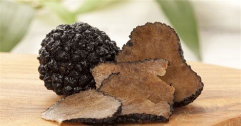 Vì sao đại gia Việt chi hàng nghìn USD săn nấm cục về thưởng thức?