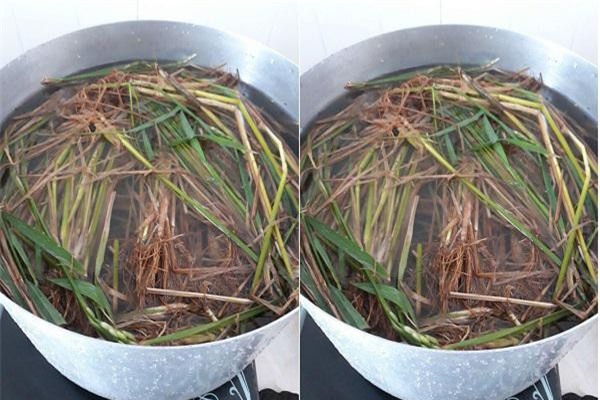 Hệ lụy khôn lường từ việc chữa thủy đậu bằng cách tắm nước gốc rạ