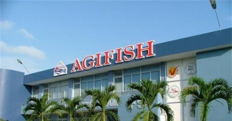 Tiết lộ lý do Agifish lỗ lớn trong khi nhiều DN thủy sản vẫn lãi mạnh