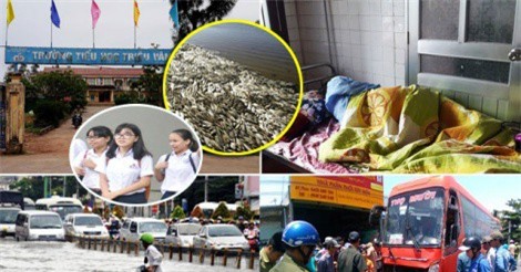 TIN HOT NGÀY 26/3: Hiệu trưởng “ăn chặn” tiền ủng hộ học sinh, chồng tưới axit vào vợ trước mặt con gái