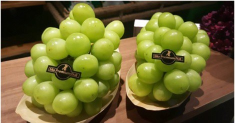 Vì sao giống nho mẫu đơn luôn "hút" khách dù giá hàng triệu đồng/kg?