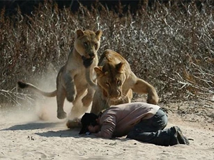 Những cuộc trả thù kinh hoàng của động vật hoang dã đối với con người