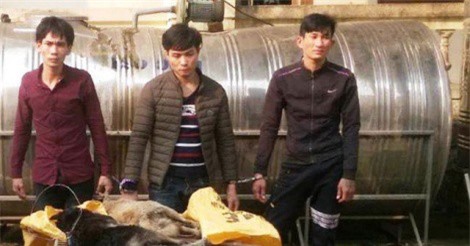 Bắt nhóm thanh niên mang bình xịt cay trộm 6 con chó