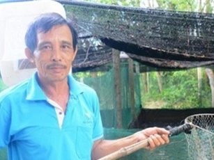 Thu lãi cao từ nuôi cá lóc trong ao lót bạt