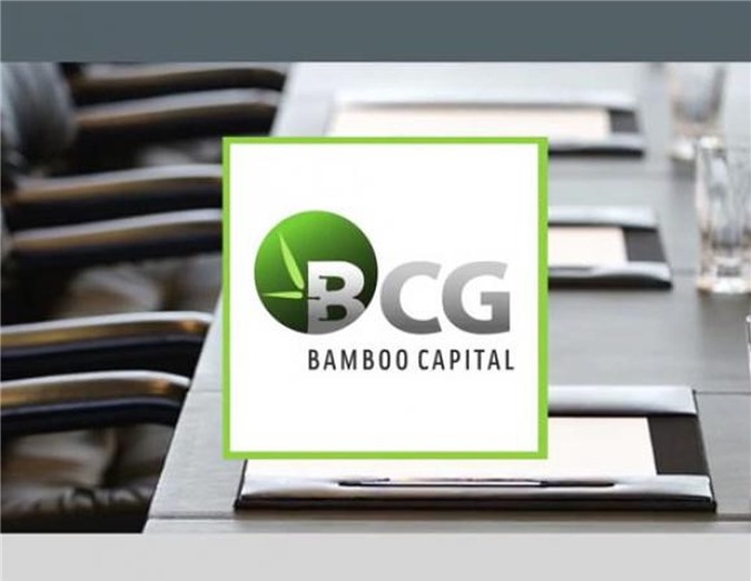 CTCP Bamboo Capital sẽ mua toàn bộ phần vốn góp tại Vipico 
