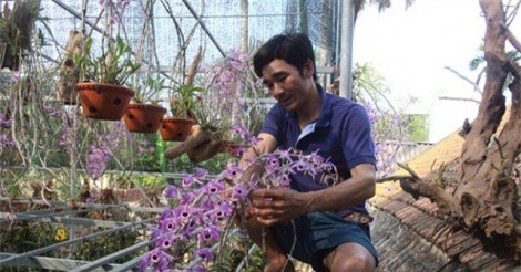 C&#x1EED; nh&#xE2;n c&#xF4;ng ngh&#x1EC7; th&#xF4;ng tin v&#x1EC1; qu&#xEA; l&#x1EAD;p nghi&#x1EC7;p, s&#x1EDF; h&#x1EEF;u v&#x1B0;&#x1EDD;n lan r&#x1EEB;ng ti&#x1EC1;n t&#x1EF7;