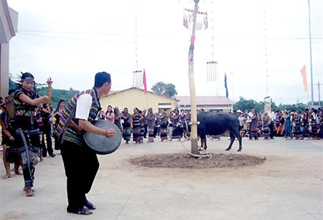 Độc đáo lễ cúng thần lúa của người Mạ ở Đồng Nai