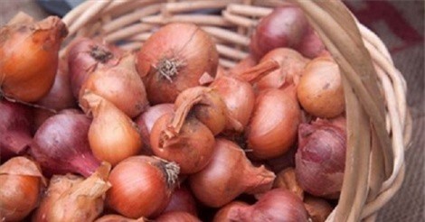 Mẹo bảo quản hành, tỏi khô lâu bị hư, mốc