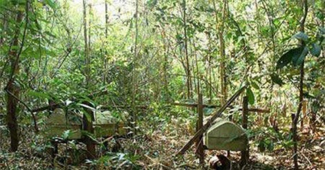 Chuyện rùng rợn, bí hiểm 'rừng ma' Măng Ri