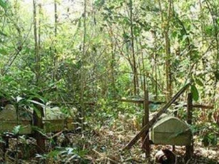 Chuyện rùng rợn, bí hiểm 'rừng ma' Măng Ri