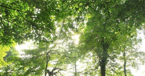 DỰ BÁO THỜI TIẾT (30/3): Hà Nội tăng nhiệt, Nam Bộ đề phòng dông lốc