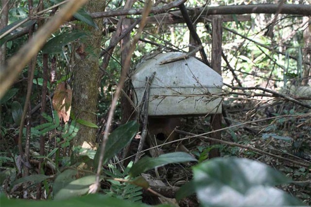 Kỳ bí khu “rừng ma” và tập tục thiên táng kỳ dị ở Tây Nguyên