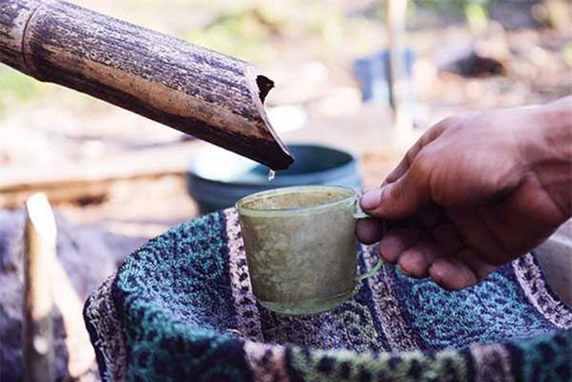 Kỳ bí loại rượu mang tên "lộc rừng" của người Dao ở Cao Bằng