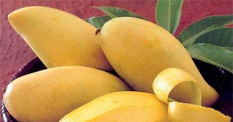 Mẹo chọn xoài xanh, xoài chín tươi ngon, an toàn 