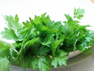 Vì sao bà bầu không nên ăn ngải cứu?