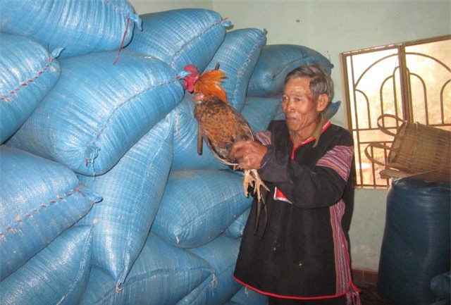 Đặc sắc lễ cúng nhập hồn lúa của người M’Nông