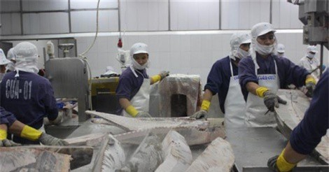  Doanh nghiệp thủy sản kiến nghị về phí phải cộng vào trị giá hải quan