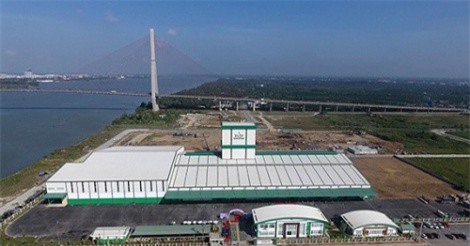 GreenFeed sở hữu chuỗi sản xuất thịt heo khép kín từ con giống đến tiêu thụ