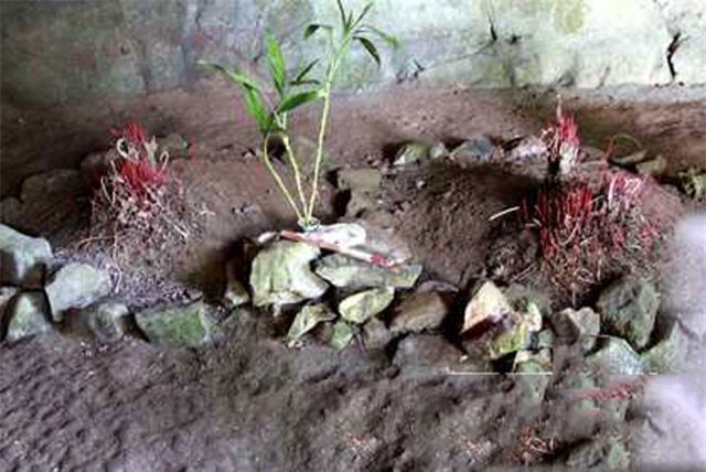 Kỳ bí 3 ngôi mộ cổ chôn người bị trói trong đại ngàn Cúc Phương