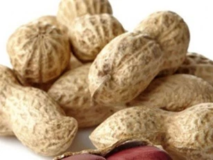 Bất ngờ với công dụng hạ huyết áp của lạc ngâm giấm