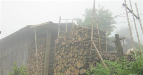 Chuyện "bắt chồng" có một không hai của sơn nữ Việt