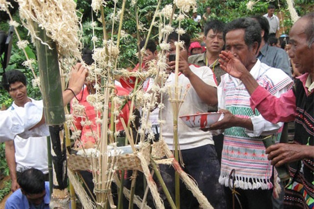 Độc đáo nghi lễ mừng lúa sinh trưởng của người Mạ ở Đắk Nông