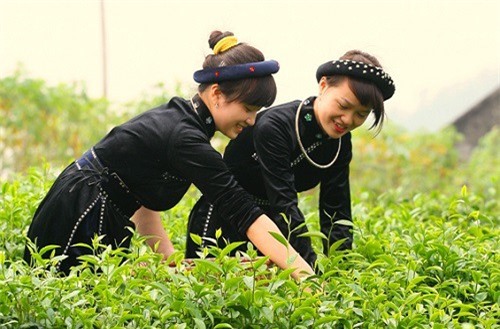 Những tấm gương phụ nữ dân tộc thiểu số làm kinh tế 