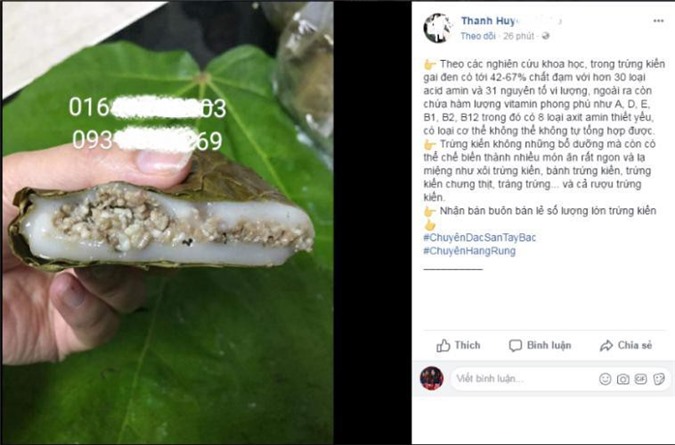 Trứng kiến gai đen rất ngon nhưng có thể gây ngộ độc chết người