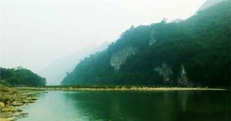 Ly kỳ cây thuốc giúp người chết sống lại ở vách đá Thanh Hóa