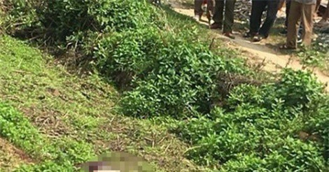 Nam thanh niên bị người tình của mẹ đâm chết