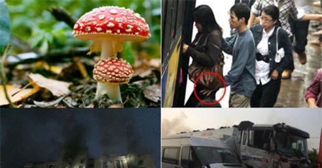 TIN HOT NGÀY (3/4): Cầm súng cướp 27 tấn bã đậu nành, nhiều người Việt bị thương trong vụ cháy chung cư ở Bangkok