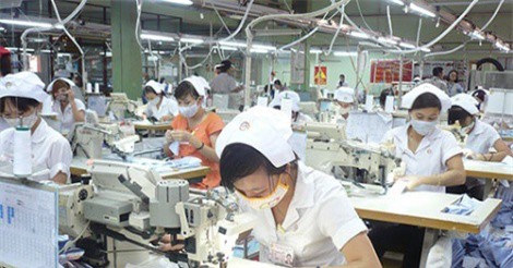 Trong phiên IPO đầu tiên, Protrade thu về 524 tỷ đồng