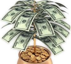 Doanh nghiệp khó tiếp cận vốn ngân hàng: Cần khắc phục hạn chế