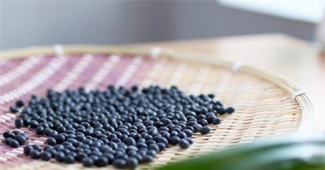Đậu tương đen giải độc, lợi tiểu hiệu quả