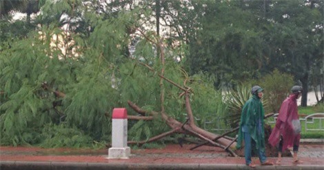 DỰ BÁO THỜI TIẾT (5/4): Không khí lạnh mạnh gây ảnh hưởng, Bắc Bộ rét đậm