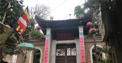 Thông tin cây "quái thú" về chùa Tây Phương, Cực Lạc: Sư trụ trì nói gì?