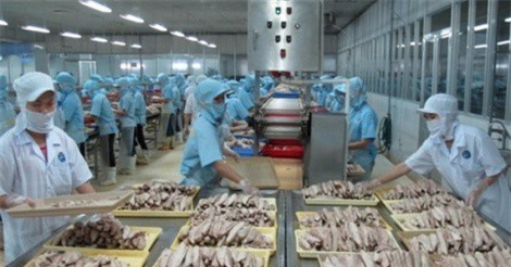 Khắc phục tình trạng các lô hàng thủy sản bị nước ngoài trả về