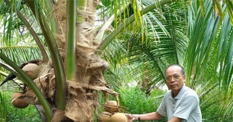 "Lão nông nghiệp dư" lập trang trại tổng hợp thu vài tỷ đồng/năm