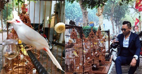 Soi bộ sưu tập chim giá 10 tỷ đồng của “ông trùm” thời trang Việt Nam