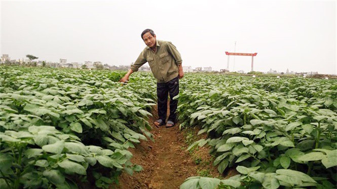 Tấm gương lão nông mượn đất bỏ hoang làm giàu trên quê lúa