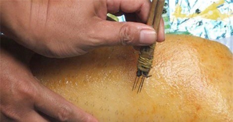 Vì sao cơ sở “biến lợn sề thành lợn rừng” ở Quảng Nam không bị xử phạt?