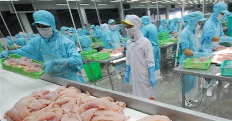 Xây dựng nghề cá bền vững trước biến động thị trường