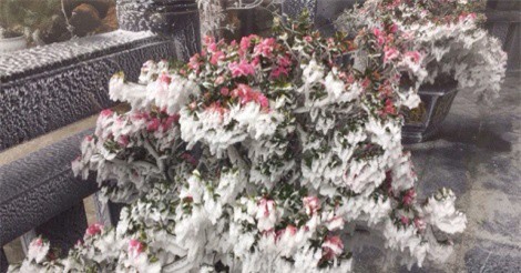 Băng giá bất ngờ phủ trắng đỉnh Fansipan